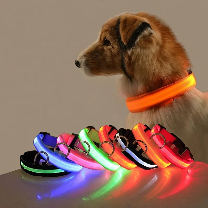 LED Glow Dog Leash & Collar – Ultimate Nighttime Safety! - Bark Buddies Club