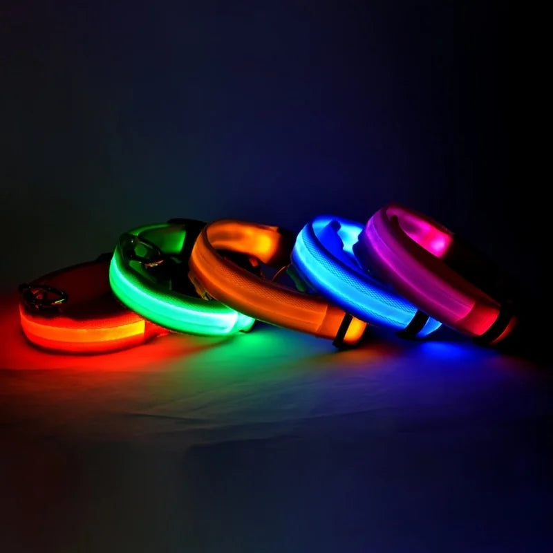 LED Glow Dog Leash & Collar – Ultimate Nighttime Safety! - Bark Buddies Club